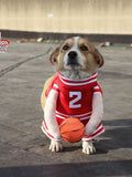 Sporty basketball-themed pet jumpsuit by Trendsi, featuring a comfortable fit with basketball print and sporty design for dogs.