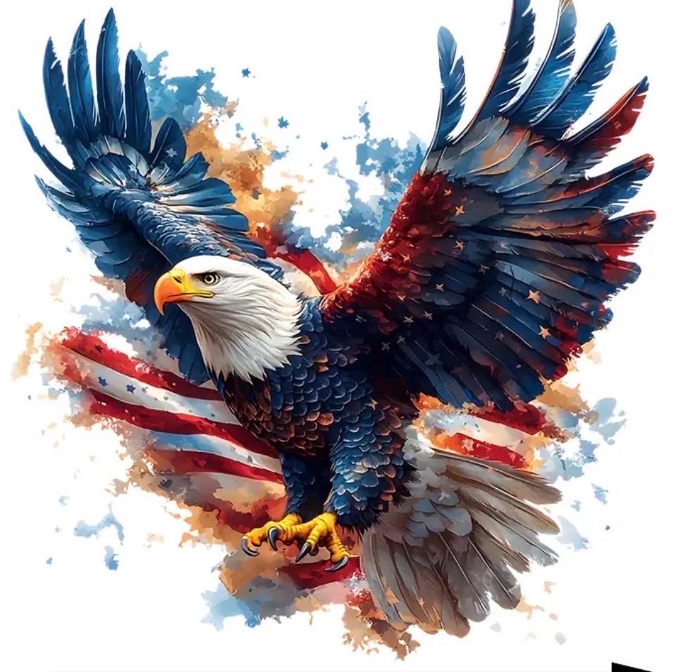T shirts custom Padilla Innovations LLC